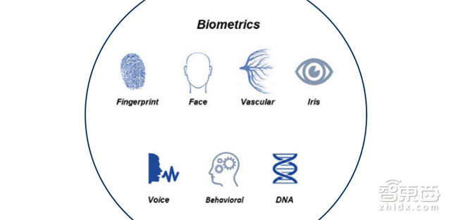 指纹是小儿科!世行106页报告解密7大生物识别技术【附下载】| 智东西内参