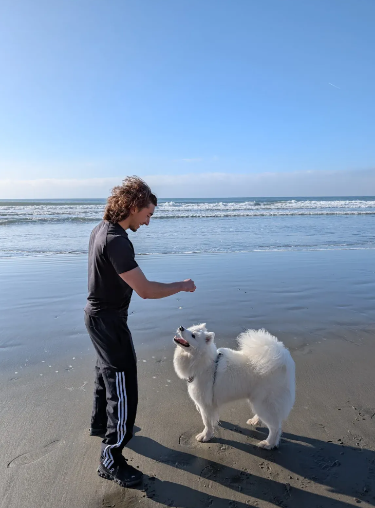 Claude自己上“闲鱼”：砍价成交186单，实验结果反直觉