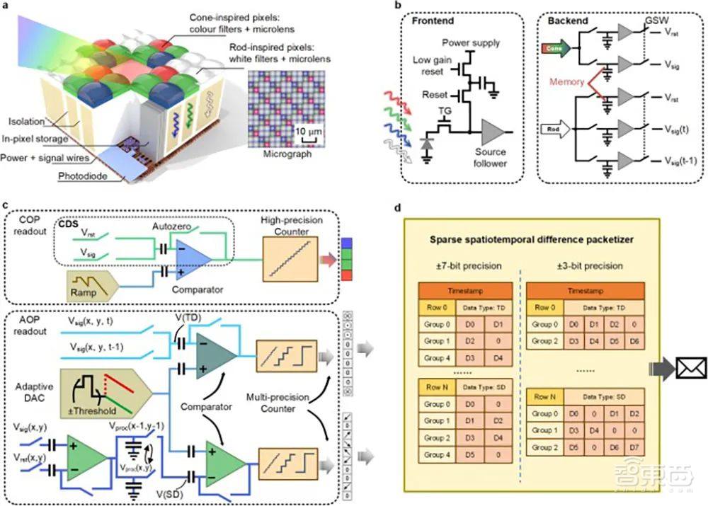 清华计算双“王炸”登Nature!类脑芯片取得重大突破,量子模拟打破国际纪录