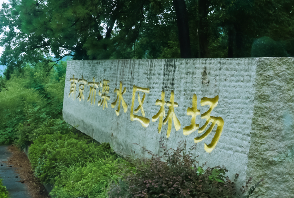 一个应用,覆盖一万种场景:寻找AI落地“最优解”