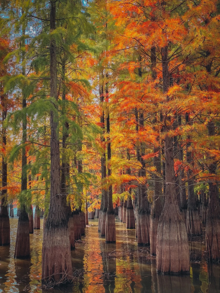 豆包学会看图思考了,一张图就能帮你规划暑假出行