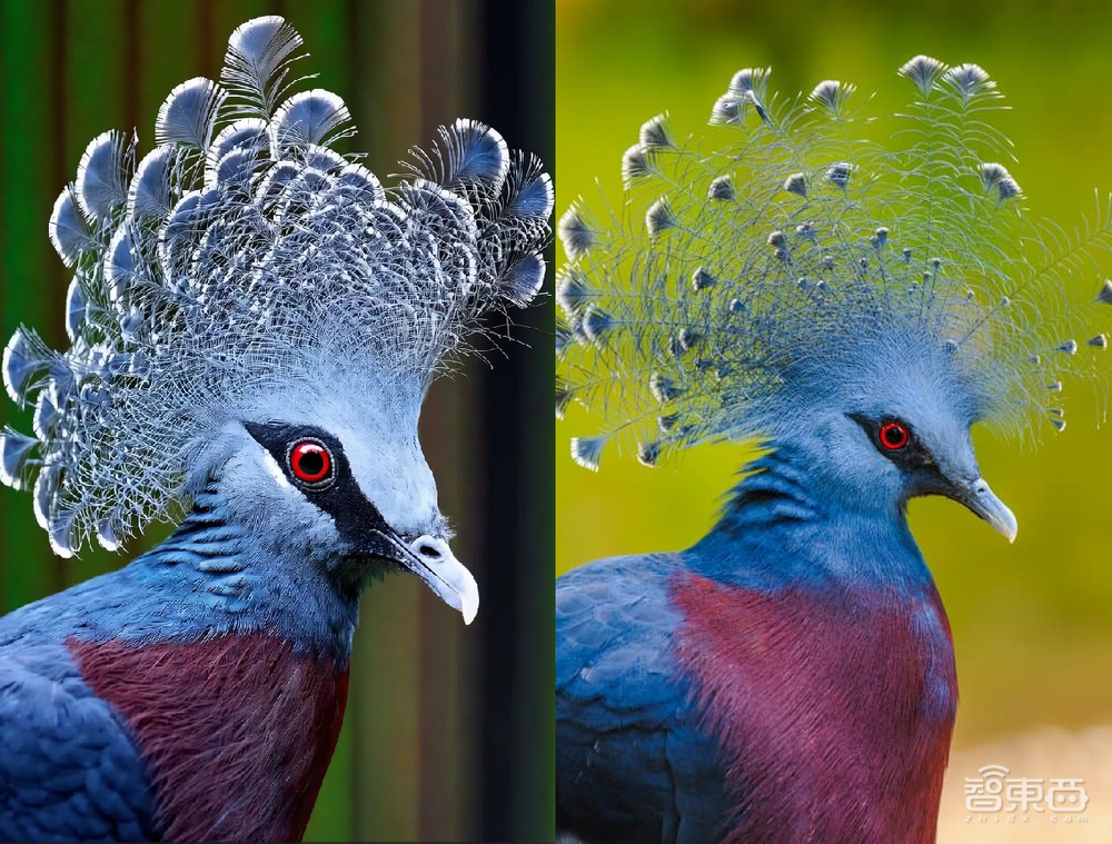 全网首个“中国版Sora”横评!15家企业对决,字节领跑