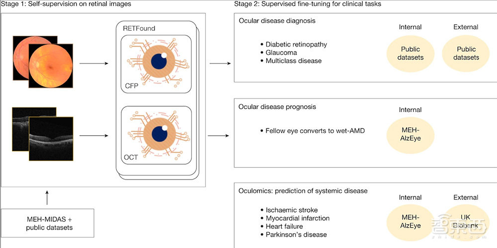 AI医疗应用重要突破登Nature,自我监督学习解决数据难题