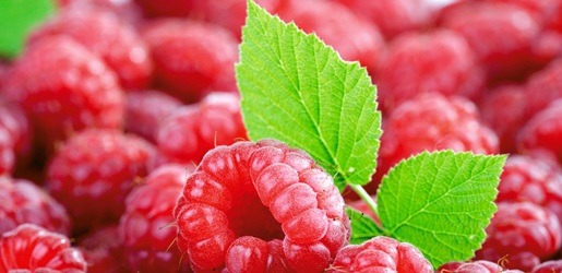 利用树莓派打造低成本家庭影院