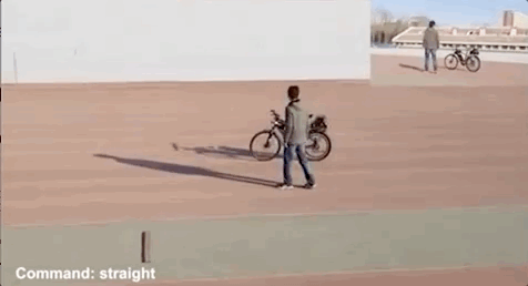 赵明国:基于自然动力学的机器人控制——无人驾驶自行车及被动行走