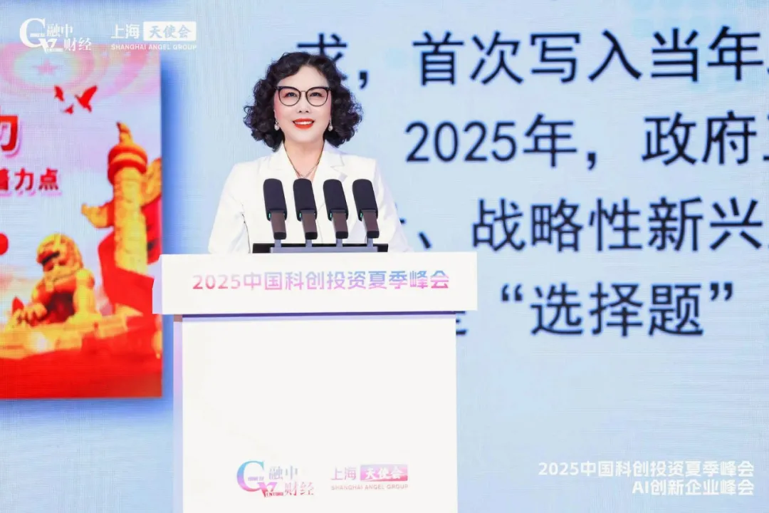 2025中国科创投资夏季峰会圆满落幕