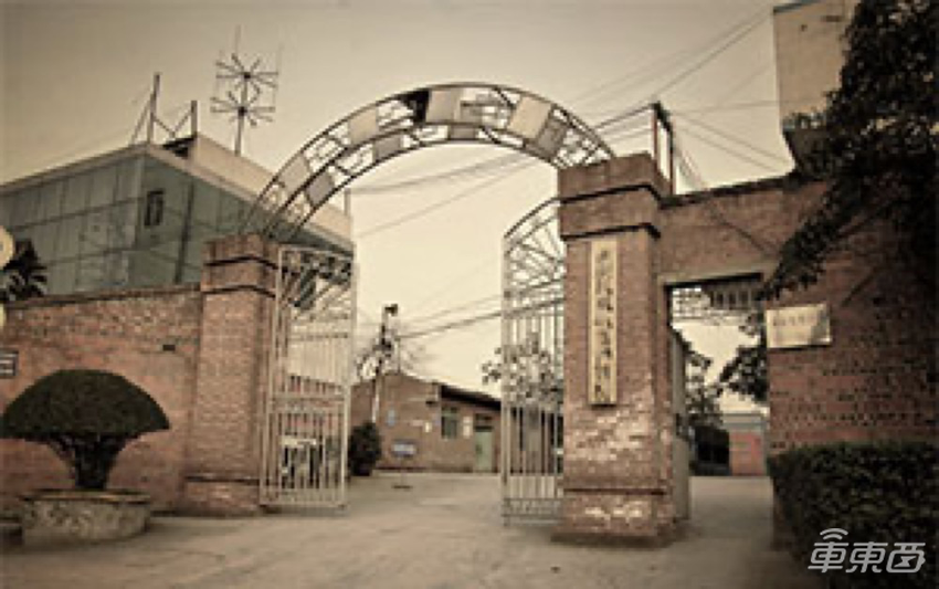 小康造车逆袭记：20年青蛙变王子