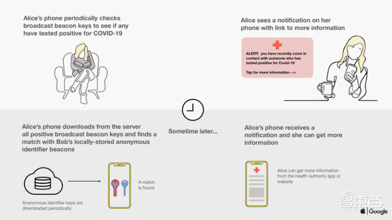 苹果谷歌官宣联手抗疫方案上线!能成美国抗疫救星吗?