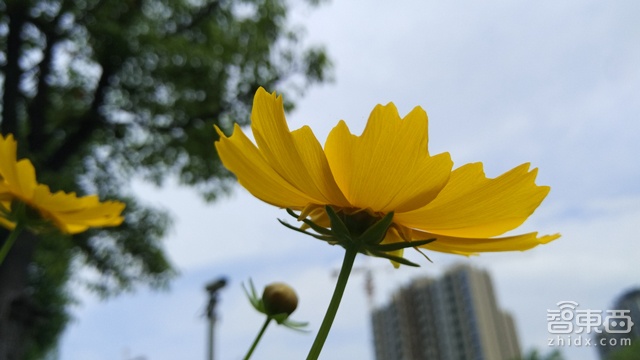 小米Note顶配版测评:到底比普通版强多少?