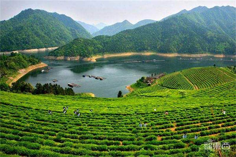 中部新基建图鉴：合肥建50万城市神经元，长沙武汉组团交作业