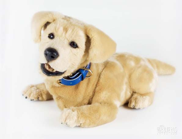 老龄未来大会成机器人秀场:仿真宠物、无脸机器人争夺最佳伴侣