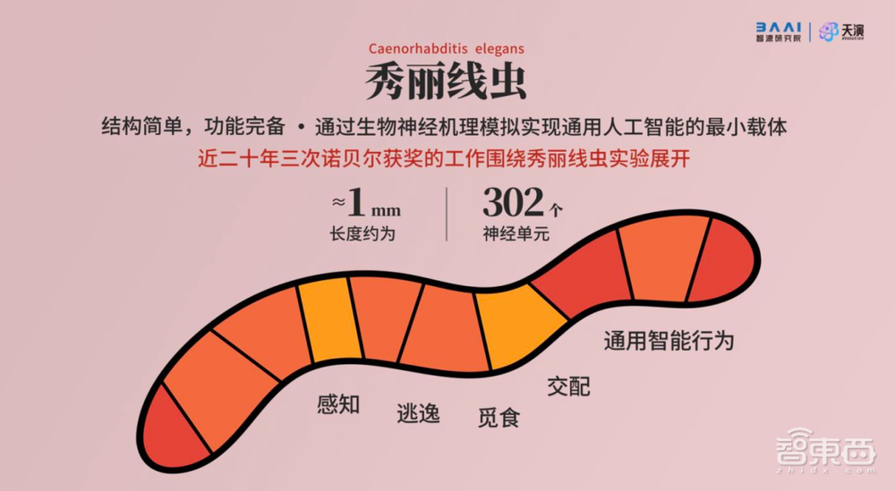 助攻国产AI芯片解锁大模型！智源打造1000P算力平台，还发起AI芯片生态实验室