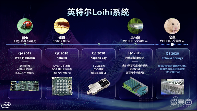 深扒全球仿生芯片计划！15+公司已入局，人造大脑通往未来计算之门