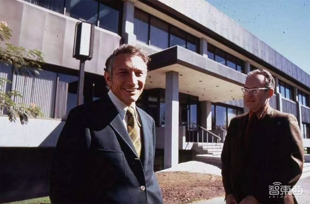 AMD，二十年再次伟大