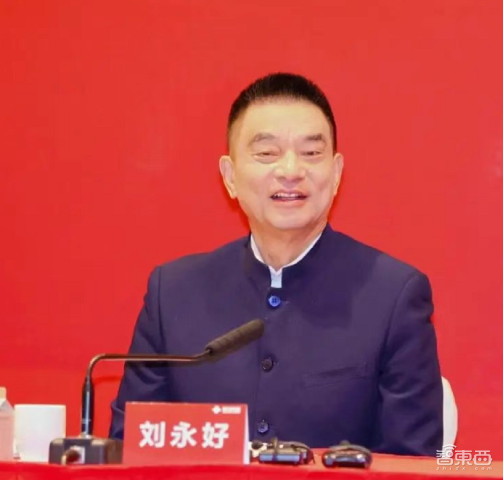 DeepSeek被点名表扬!17位两会代表热议AI,电车牌换配色赢网友狂赞