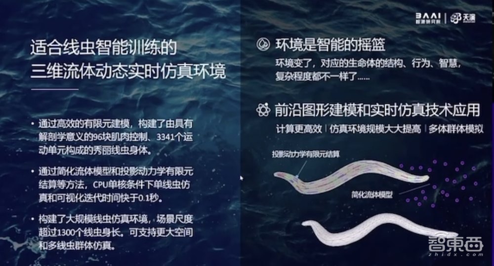 最高精度“智能线虫”如何诞生?揭秘背后关键技术