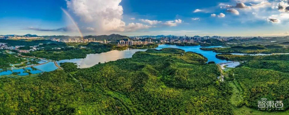 南山区最新AI发展规划出炉!三类企业成重点,每年5个超级场景项目