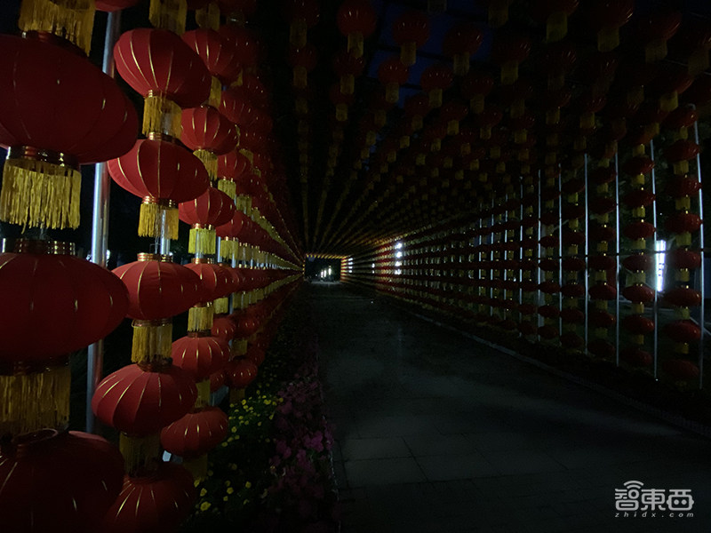 iPhone 11使用十天心得!告诉你苹果口碑逆袭的真相