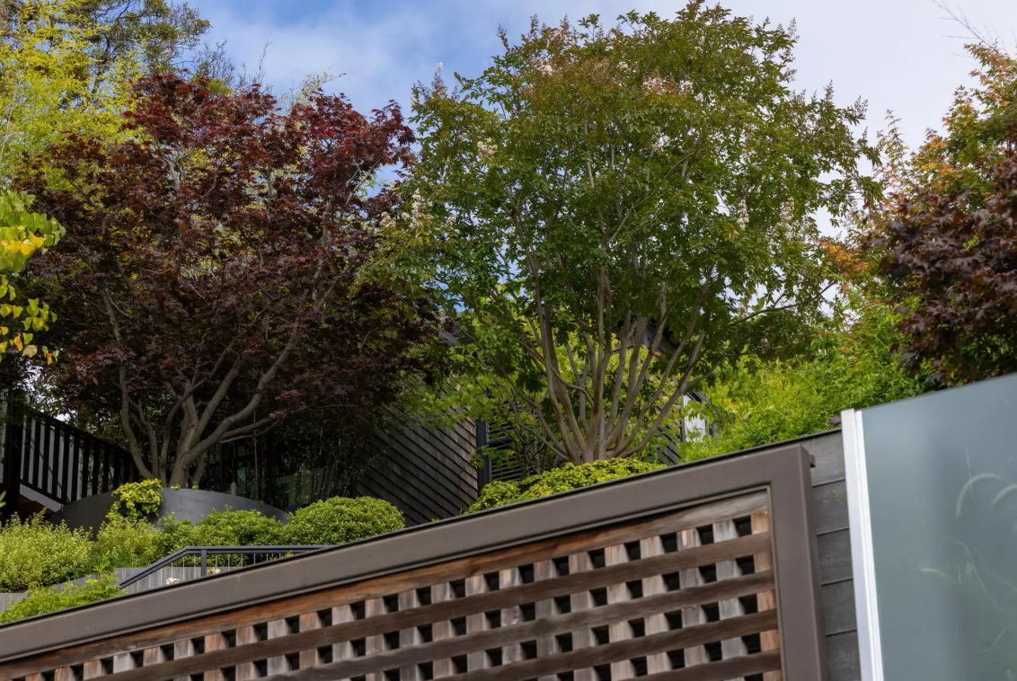 突发!阿尔特曼家又遇枪击