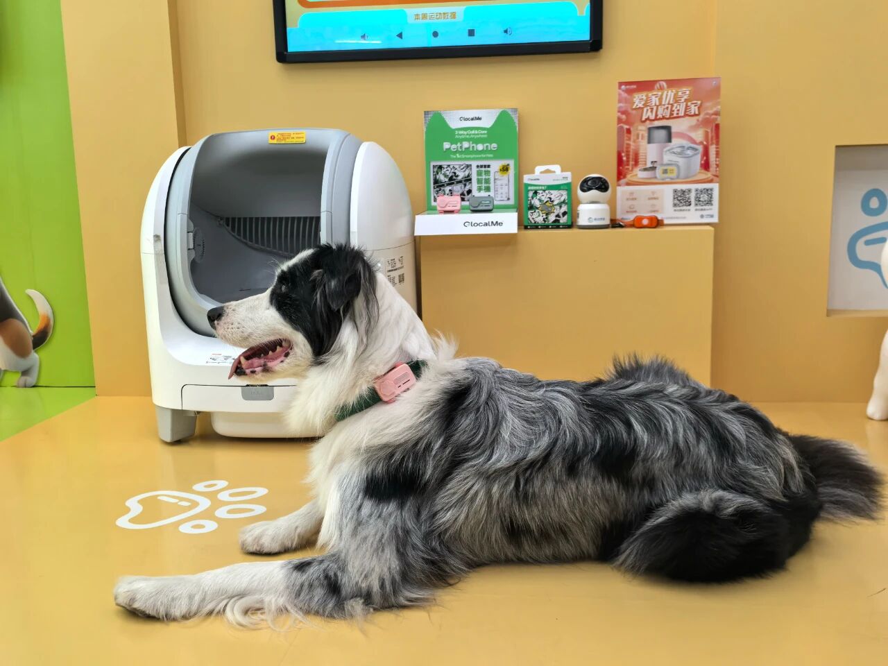 会飞的宠物、能通话的狗绳?直击CES 2026上最「不务正业」的AI发明