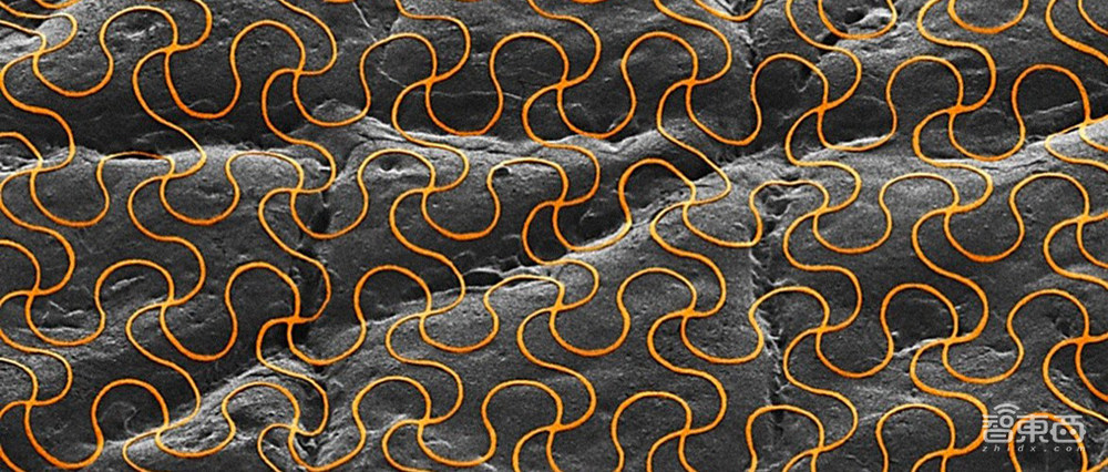 最新电子皮肤能监测新冠!《Nature》专栏复盘电子皮肤蜕变史