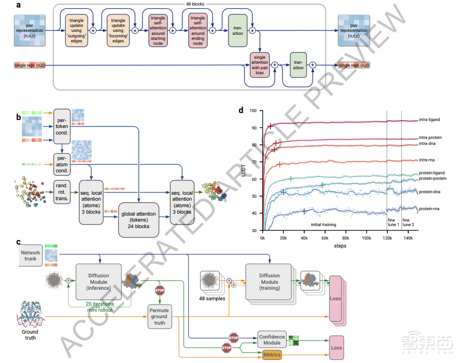 AI预测所有生命分子！谷歌AlphaFold 3模型登Nature，免费开放节省上亿年研究时间
