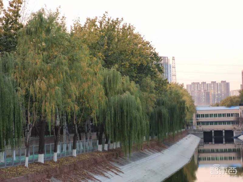 小米1亿像素手机拍照体验，从微距拍到超广角，效果到底如何？