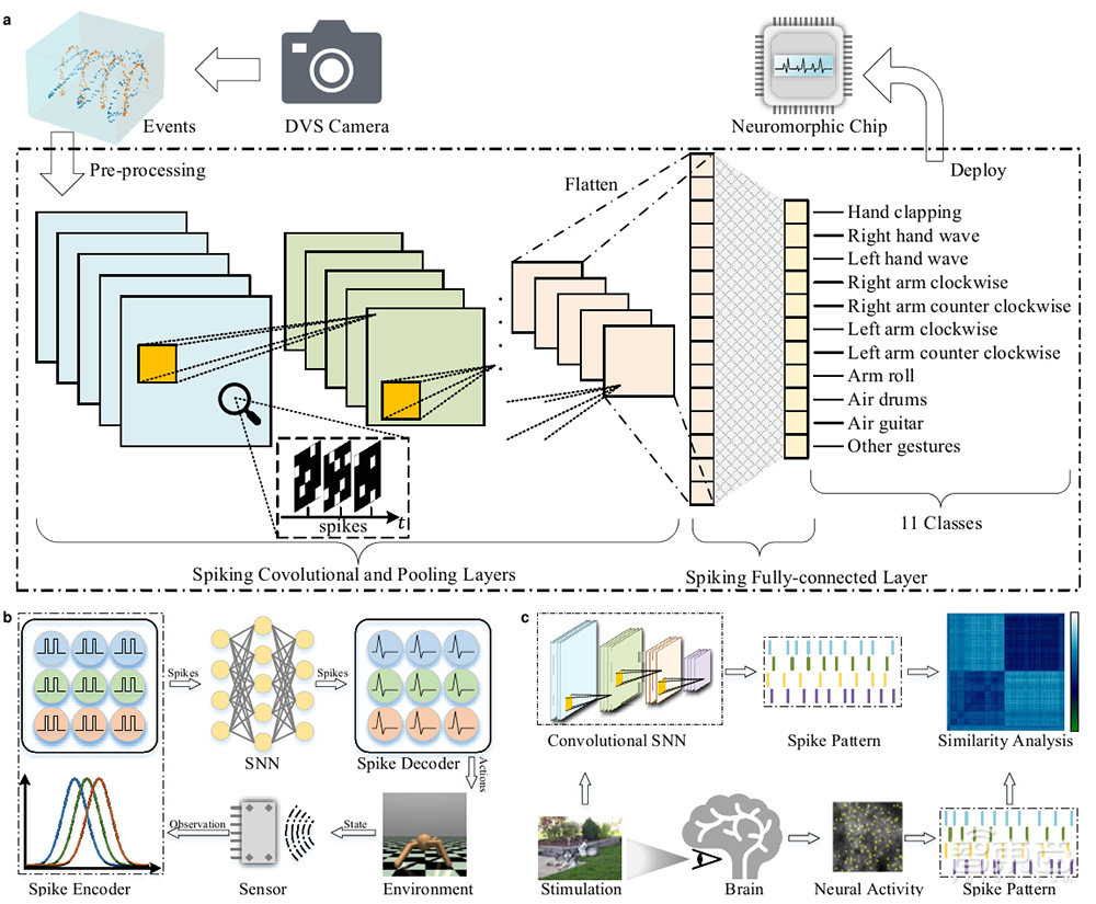 深度学习框架重要突破！鹏城实验室田永鸿教授领衔，国产AI芯片成幕后功臣