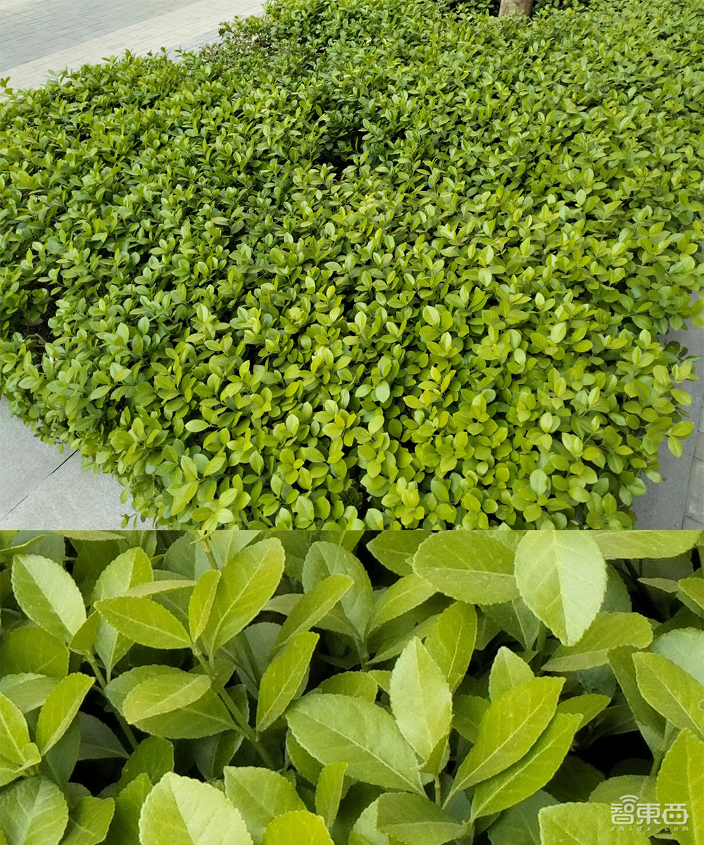 realme真我Q5首发体验:千元机市场再杀黑马