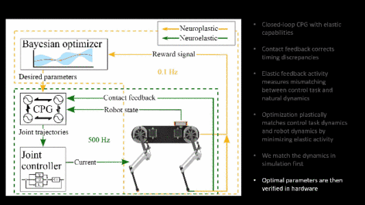 机器狗一小时就能学会走路?模仿动物本能,研究已登Nature子刊