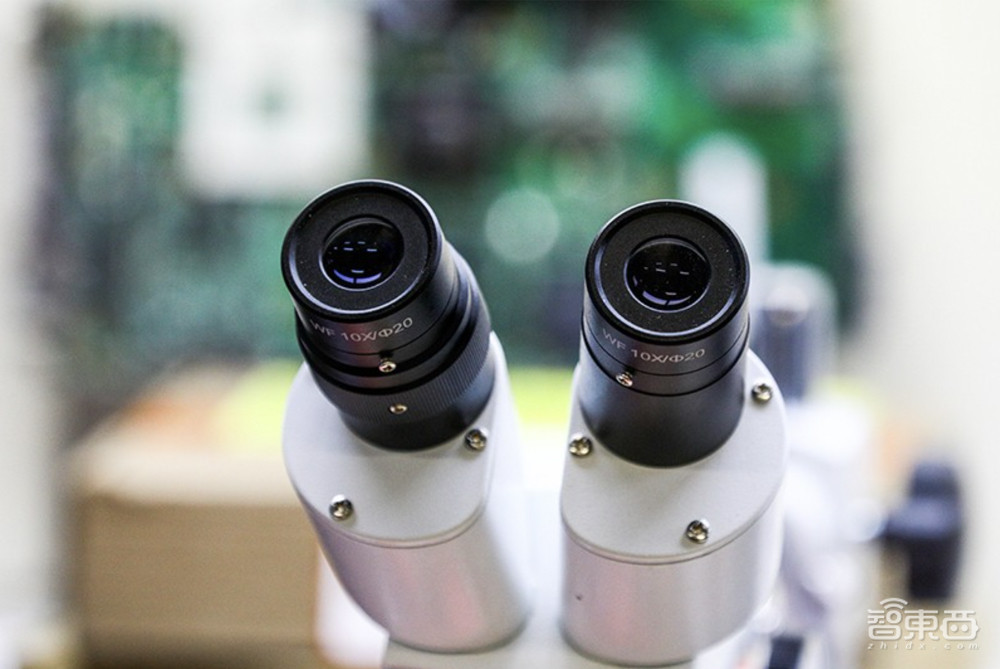 《自然》：解放编辑双手，AI审查图像造假、学术不端