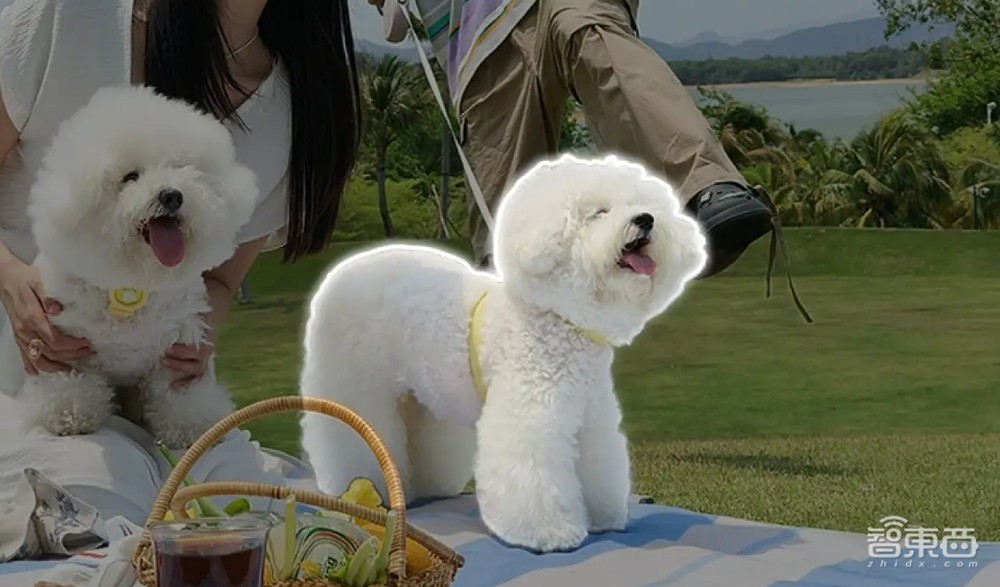 2699元的安卓机体验力压苹果iPhone 15？OPPO Reno12打破中端天花板