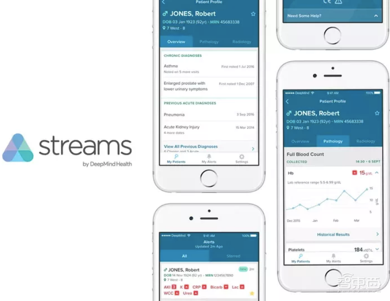 Alphabet旗下高管调动,DeepMind联合创始人加入谷歌!继续AI应用研究