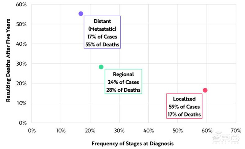 女版巴菲特的15个趋势预测：寻找下一个特斯拉，2021成为人生赢家 | 智东西内参