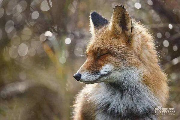 这次华为真的能上天！没有5G，Mate50凭什么遥遥领先友商？