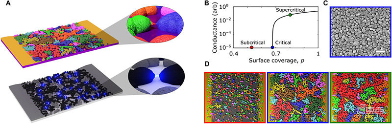 新西兰类脑计算芯片新突破！原子级组件构建，可模仿大脑信号传导