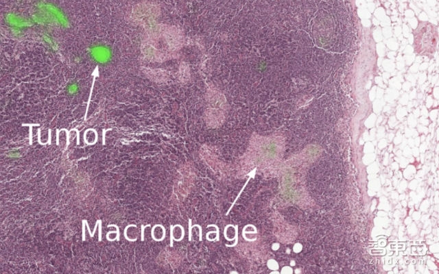 谷歌大脑2017成绩单下部:机器人将可以进行集体学习
