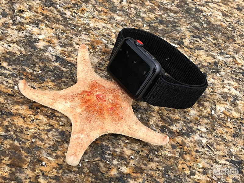 可以打电话的AppleWatch3 开始一个新的通信时代