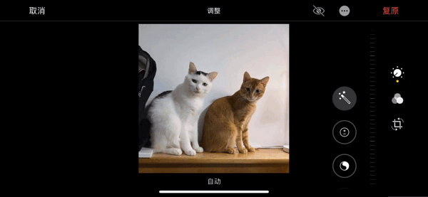 疫情把你闷在家,看如何在iOS 13里快乐“杀”时间