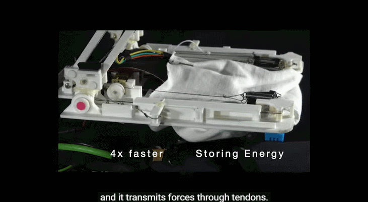 斯坦福发明“长腿”无人机!等比例模仿猎鹰,能空中抓球、树上栖息