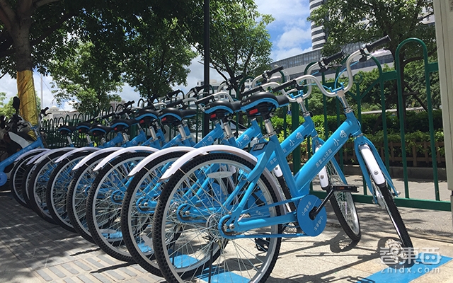 共享单车遭遇“急刹车”!!