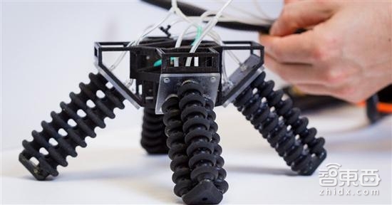 智东西晚报:北京网约车正式“持证上岗” 贾跃亭辞任乐视网总经理