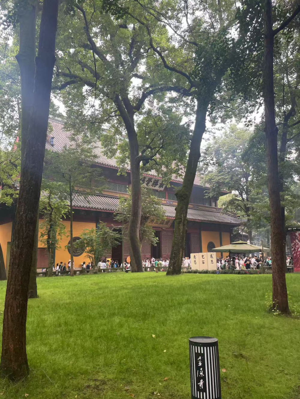 DeepSeek终于能看图了！我第一时间用它算命