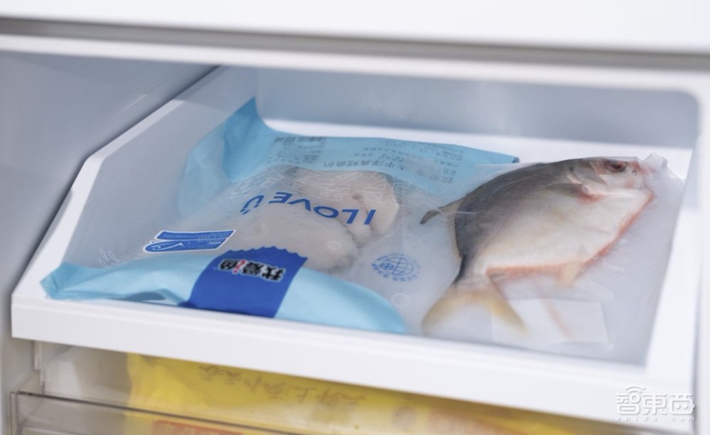 洗衣机用上AI大模型，冰箱把极地黑科技搬到家！TCL冰洗大招燃爆AWE