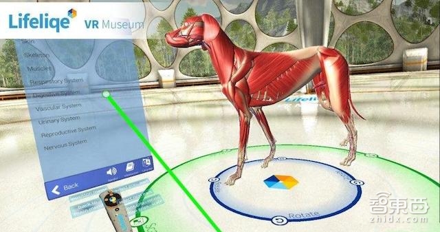 智东西晚报:滴滴快车起步价将上调为13元 苹果Siri成为第二大搜索引擎