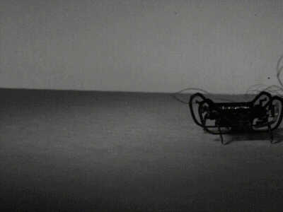 机器人“小强”比所有昆虫跑得快!