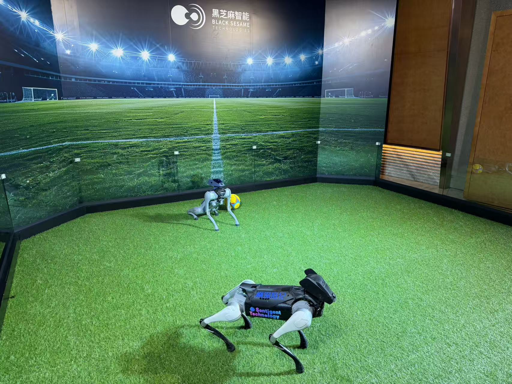 智驾芯片第一股，入局具身智能！连发三款计算平台