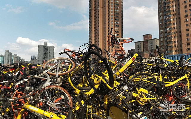 觸目驚心的共享單車墳場！幾十萬輛被棄荒野無人管！