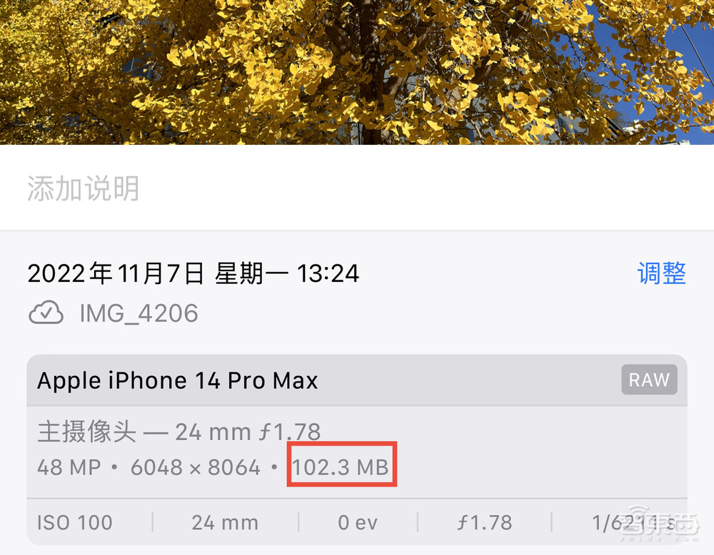 iPhone 14 Pro如何超越“13香”？四大升级亮点体验