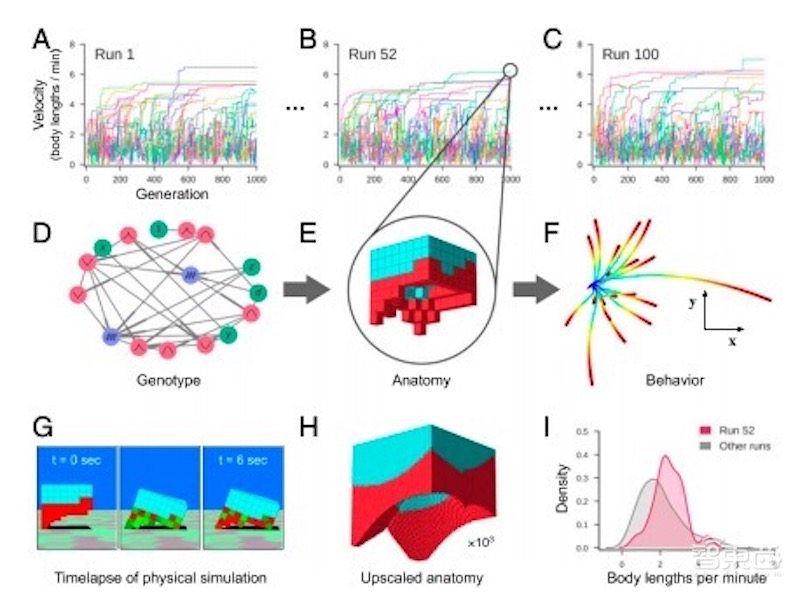 全球首个活体可编程机器人诞生!100%青蛙基因,劈成两半还能自愈